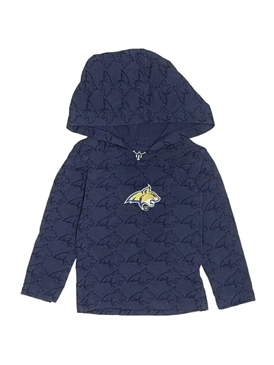 Pre-owned Wes & Willy Babies' Pullover Hoodie In Blue