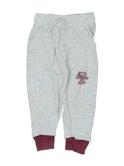 Pre-owned Wes & Willy Kids' Sweatpants In Gray