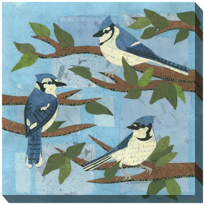 West Of The Wind Bluejay Trio 24" Square Outdoor Canvas Wall Art