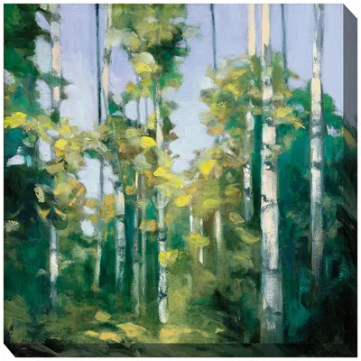 West Of The Wind Creek Branches No 2 24" Square Outdoor Canvas Wall Art