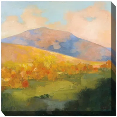 West Of The Wind High Country Dawn 24" Square Outdoor Canvas Wall Art