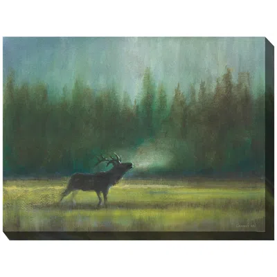 West Of The Wind In The Wild 40" Wide Rectangular Outdoor Canvas Wall Art