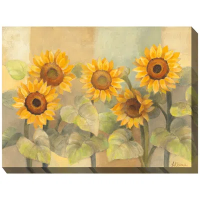 West Of The Wind Sunshades 40" Wide Rectangular Outdoor Canvas Wall Art