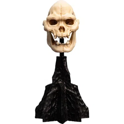 Weta Workshop Lord Of The Rings In Black