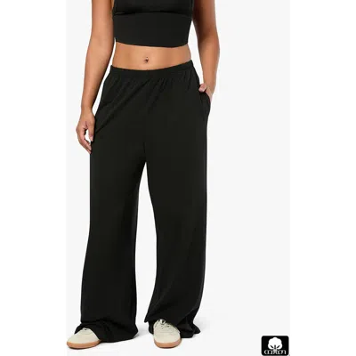 Weworewhat Straight Leg Sweat Pants In Black