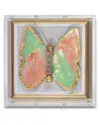 Wexel Art Acrylic 3-d Preppy Butterfly Shadowbox By Dana Manly