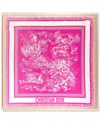 Wexel Art Christian Dior Toile Silk Scarf Shadowbox In Pink