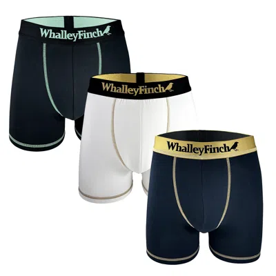 Whalley Finch Men's Everyday Vibe Boxer Brief Three-pack In Multi