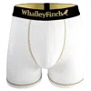 Whalley Finch Men's Everyday Vibe White Boxer Brief In White