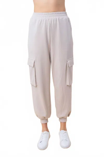 White Birch High Waisted Solid Knit Cargo Pants In Gray In Neutral
