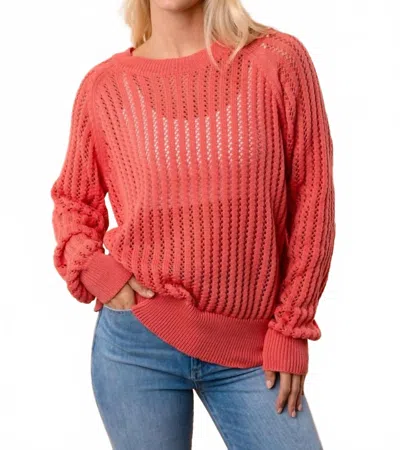 White Birch Lightweight Open Knit Sweater In Coral Pink