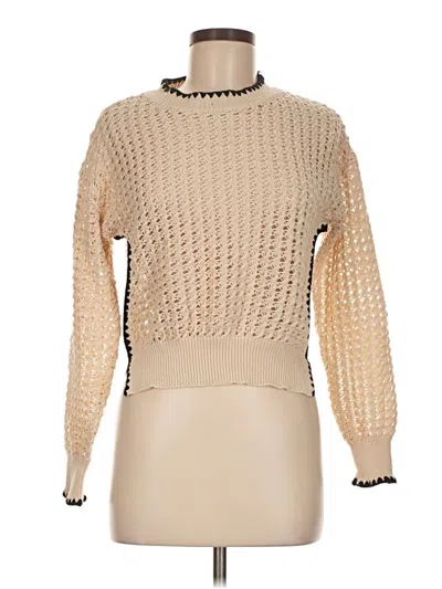 Pre-owned White Birch Pullover Sweater In Brown