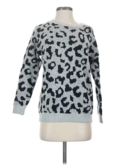 Pre-owned White Birch Pullover Sweater In Gray
