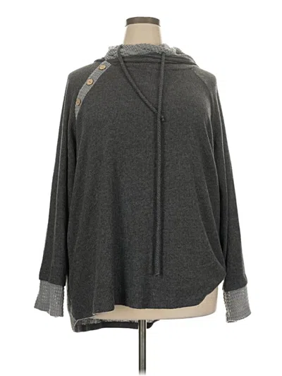 Pre-owned White Birch Pullover Sweater In Gray