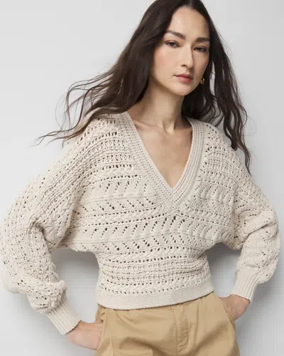 White House Black Market Chunky Knit Dolman Pullover Sweater In Pearl Dust