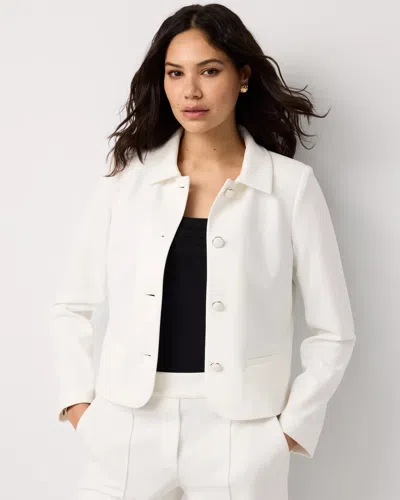 White House Black Market Knit Crepe Cropped Jacket In White