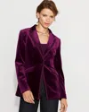 White House Black Market One-button Velvet Blazer In Purple