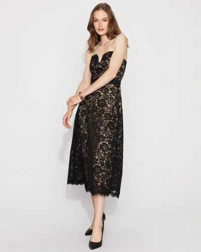 White House Black Market Petite Strapless Lace Midi Dress In Black