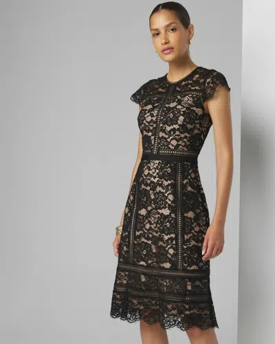 White House Black Market Short Sleeve Lace Fit & Flare Dress In Black