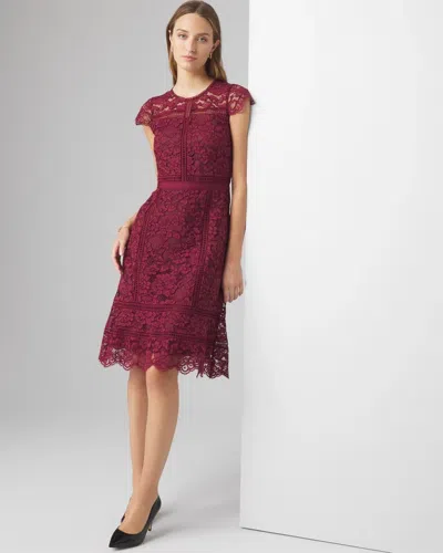 White House Black Market Short Sleeve Lace Fit & Flare Dress In Windsor Wine