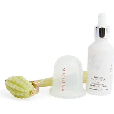 White Lotus Beauty Body Sculpting Cup In Green