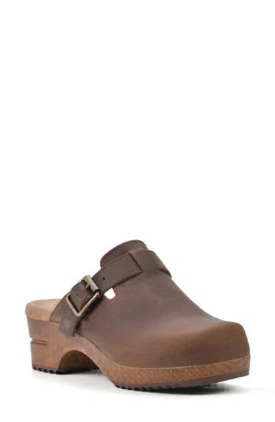 White Mountain Footwear White Mountain Behold Suede Platform Clog In Brown/leather