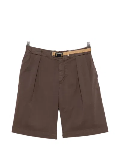White Sand Belted Pleated Shorts In Brown
