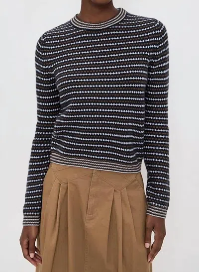 Cashmere Textured Stripe Crewneck Sweater In Blue Combo In Gray from White & Warren