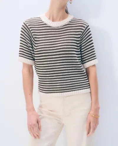 White + Warren Luxe Organic Cotton T-shirt In Ecru Dark Espresso In Gray