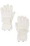 Whitespace Leather Riding Gloves In Warm White
