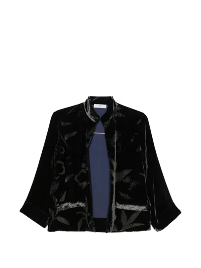 Why Ci Floral-devoré Velvet Jacket In Black