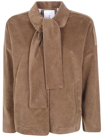 Why Ci Short Shirt With Scarf In Brown