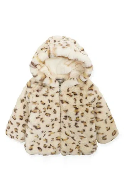 Widgeon Teddy Leopard Print Faux Fur Hooded Jacket In Cream Leopard