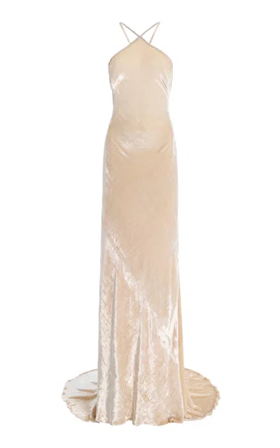 Wiederhoeft Embroidered Velvet Gown In Brown