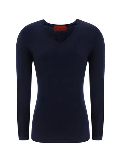 Wild Cashmere Sweater In Blue