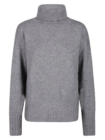 Wild Cashmere Sweater In Grey