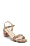 Wild Diva Lounge Laisha Heel Sandal In Brown