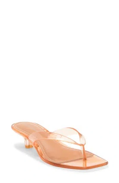 Wild Diva Lounge Romania Jelly Sandal In Brown