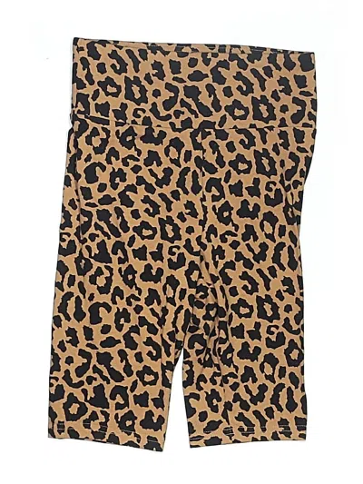 Pre-owned Wild Fable Board Shorts In Brown
