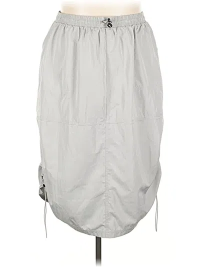 Pre-owned Wild Fable Casual Skirt In Gray