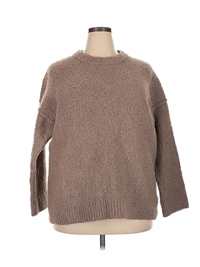 Pre-owned Wild Fable Pullover Sweater In Brown