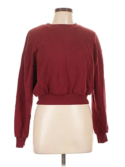 Pre-owned Wild Fable Pullover Sweater In Burgundy