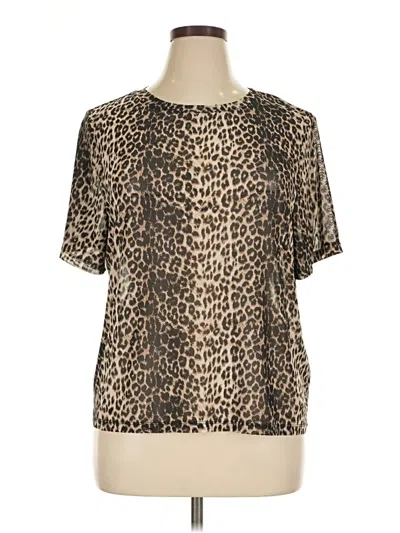 Pre-owned Wild Fable Short Sleeve Blouse In Brown