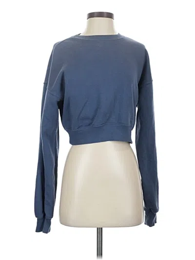 Pre-owned Wild Fable Sweatshirt In Blue