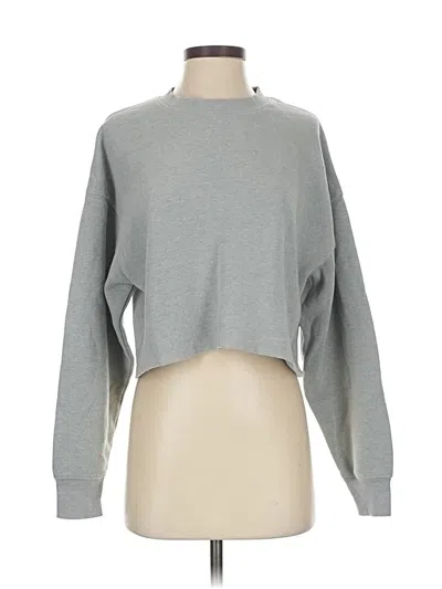 Pre-owned Wild Fable Sweatshirt In Gray