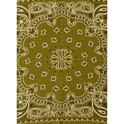 Wild Foulard Imprimé Bandana In Brown