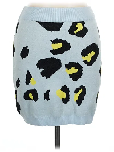 Pre-owned Wild Honey Casual Skirt In Blue