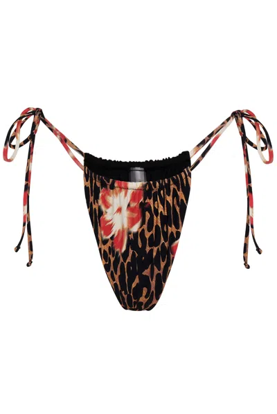 Wild Lovers London Women's Black / Brown Oasis Bikini Bottoms In Black/brown