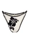 Wild Lovers London Women's Black / White Spicy Marg Bikini Bottoms In Black/white