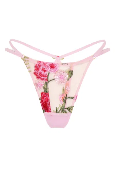 Wild Lovers London Women's Pink Aurora Thong